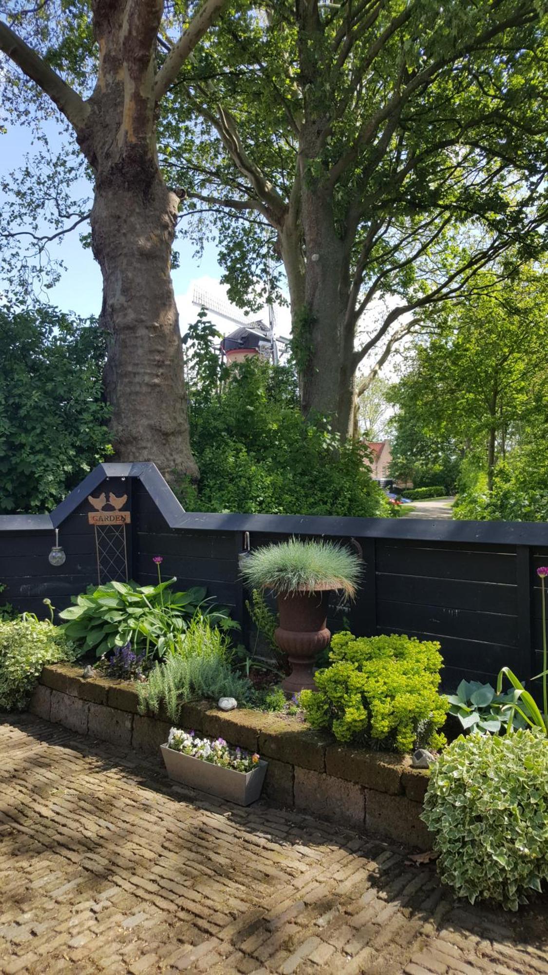 Tiny House Tholen Exterior foto